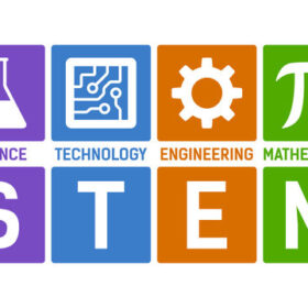 logo stem